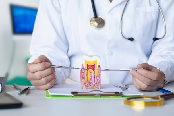 Best Urgent Care for Lost Fillings or Crowns in Mukwonago, WI